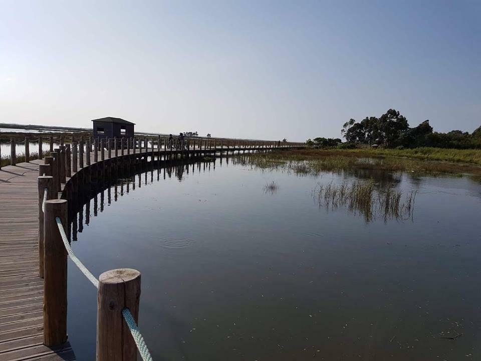 Casa Da Ribeira Daire Aveiro Dış mekan fotoğraf