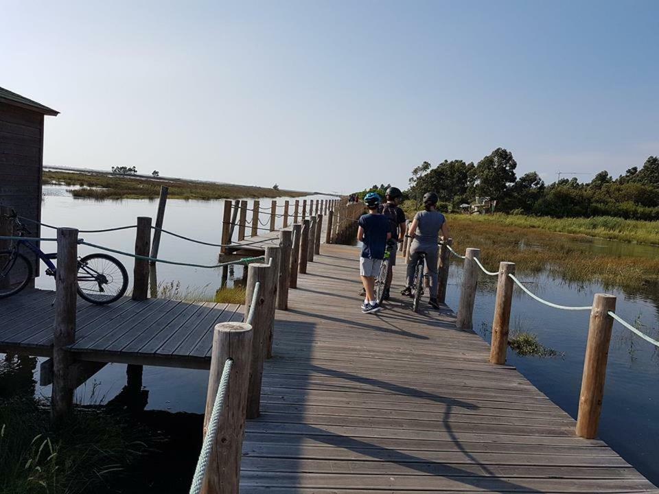 Casa Da Ribeira Daire Aveiro Dış mekan fotoğraf