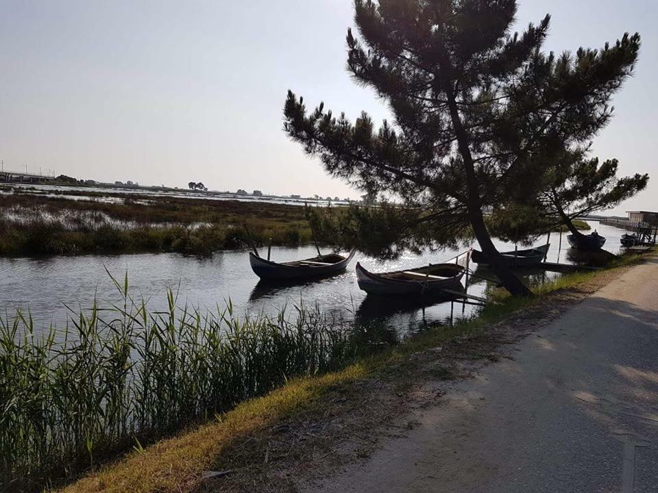 Casa Da Ribeira Daire Aveiro Dış mekan fotoğraf